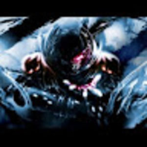 Meet your Posher, Avery